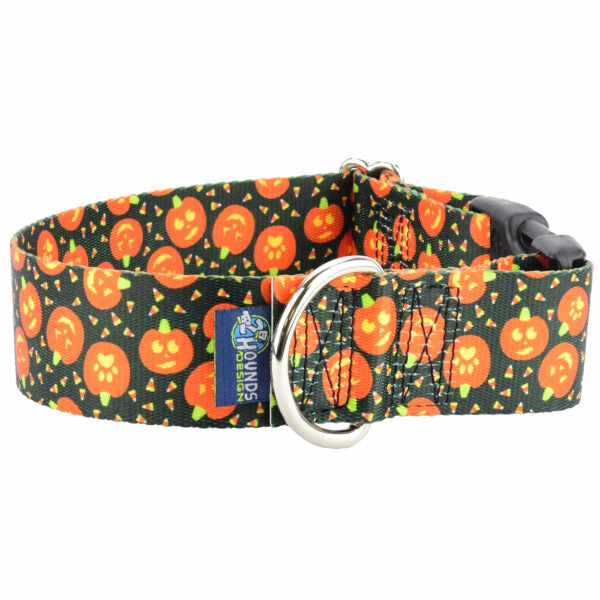 Jack O Lantern Dog Collar – EarthStyle 1.5 inch 2 Hounds Design