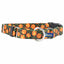 Jack O Lantern Buckle Martingale Dog Collar – EarthStyle 1 inch 2 Hounds Design