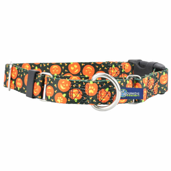 Jack O Lantern Buckle Martingale Dog Collar – EarthStyle 1 inch 2 Hounds Design