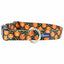 Jack O Lantern Dog Collar – EarthStyle 1 inch 2 Hounds Design
