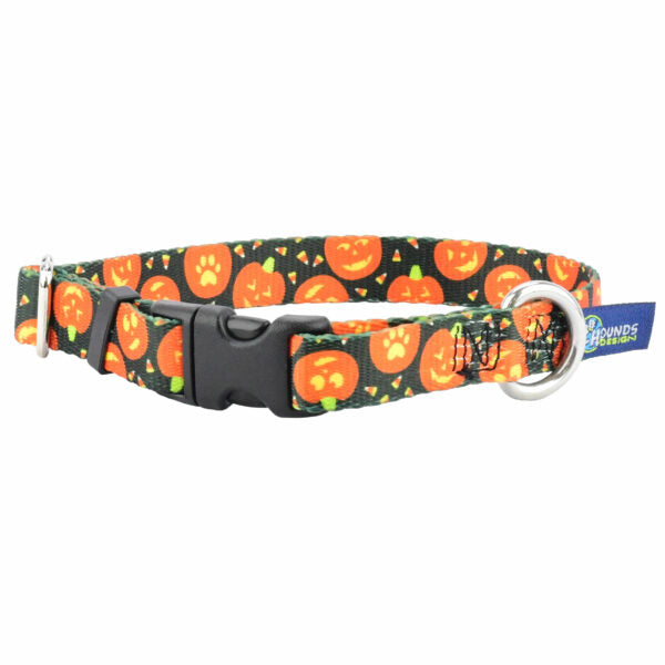 Jack O Lantern Dog Collar – EarthStyle 5 8 inch 2 Hounds Design
