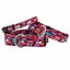 Love Graffiti Red Buckle Martingale Dog Collar – EarthStyle 2 Hounds Design
