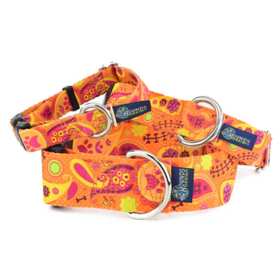Orange Paisley Buckle Martingale Dog Collar – EarthStyle 2 Hounds Design