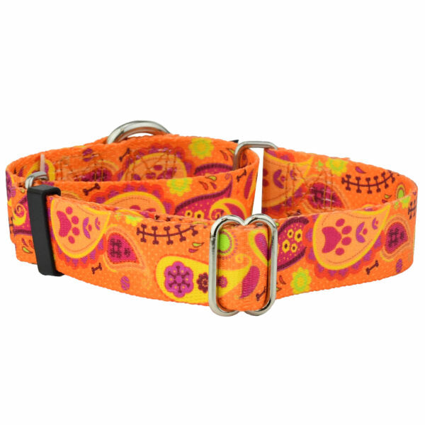 Orange Paisley Martingale Dog Collar – EarthStyle 1 inch 2 Hounds Design