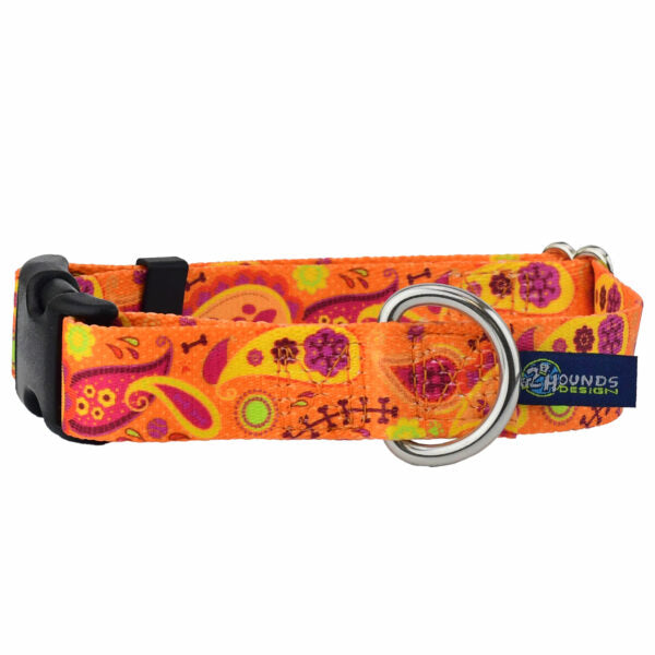 Orange Paisley Dog Collar – EarthStyle 1 inch 2 Hounds Design