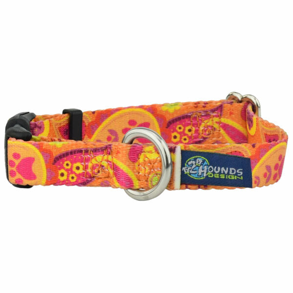 Orange Paisley Dog Collar – EarthStyle 5 8 inch 2 Hounds Design