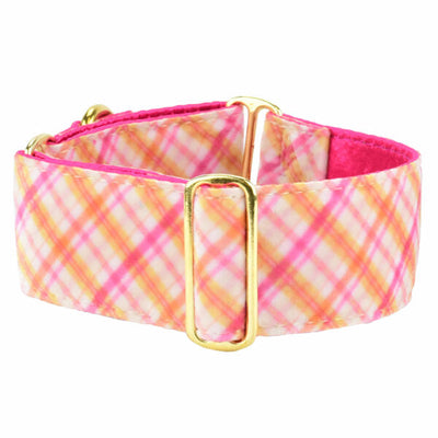 Pink Plaid Elite Velvet Buckle Martingale Dog Collar 2 Hounds Design