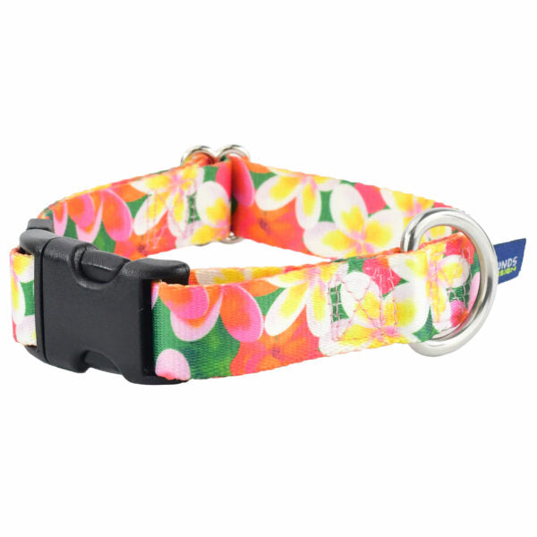 Aloha Dog Collar – EarthStyle 1 inch 2 Hounds Design