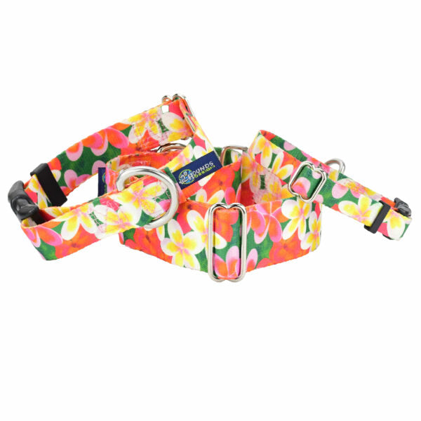 Aloha Martingale Dog Collar – EarthStyle 2 Hounds Design