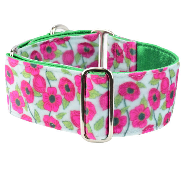 Bold Poppies Elite Velvet Dog Collar 2 Hounds Design