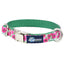 Bold Poppies Velvet Essential Dog Collar 5 8 inch wide 2 Hounds Design