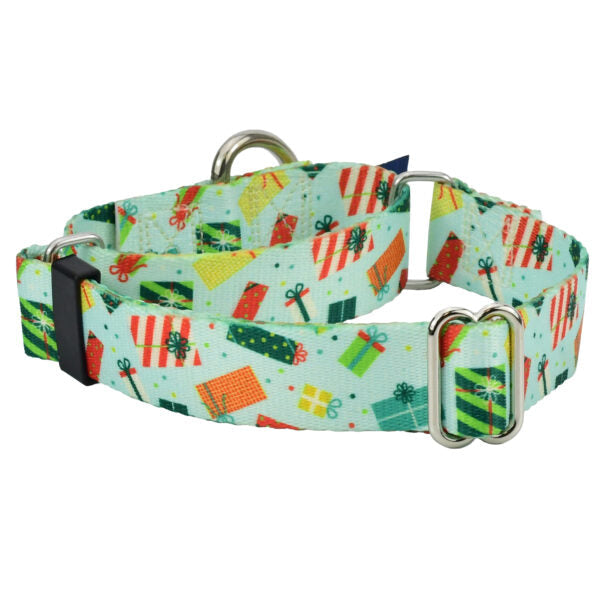 Presents Galore Martingale Dog Collar – EarthStyle 1 inch 2 Hounds Design
