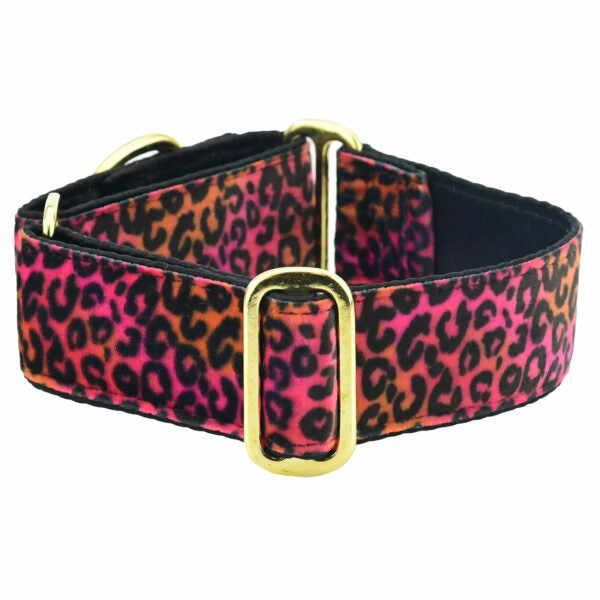 Wild Kitty Pink Elite Velvet Buckle Martingale Dog Collar 2 Hounds Design