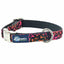 Wild Kitty Pink Velvet Essential Dog Collar 5 8 inch wide 2 Hounds Design