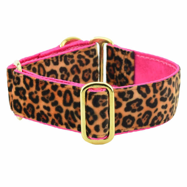 Soft Kitty Elite Velvet Buckle Martingale Dog Collar (Multiple Lining Color Options) 2 Hounds Design