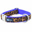 Soft Kitty Velvet Essential Dog Collar (Multiple Webbing Color Options) 1 inch wide 2 Hounds Design