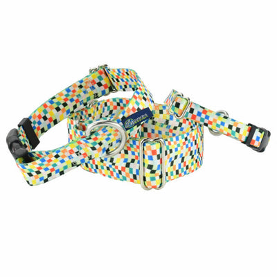 Indy Flag Dog Collar – EarthStyle 2 Hounds Design