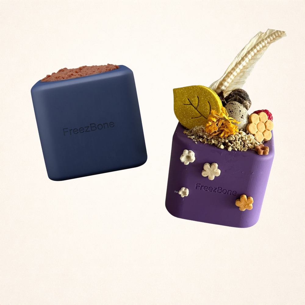 Freezbox - Super Tough Treat Toy Freezbone