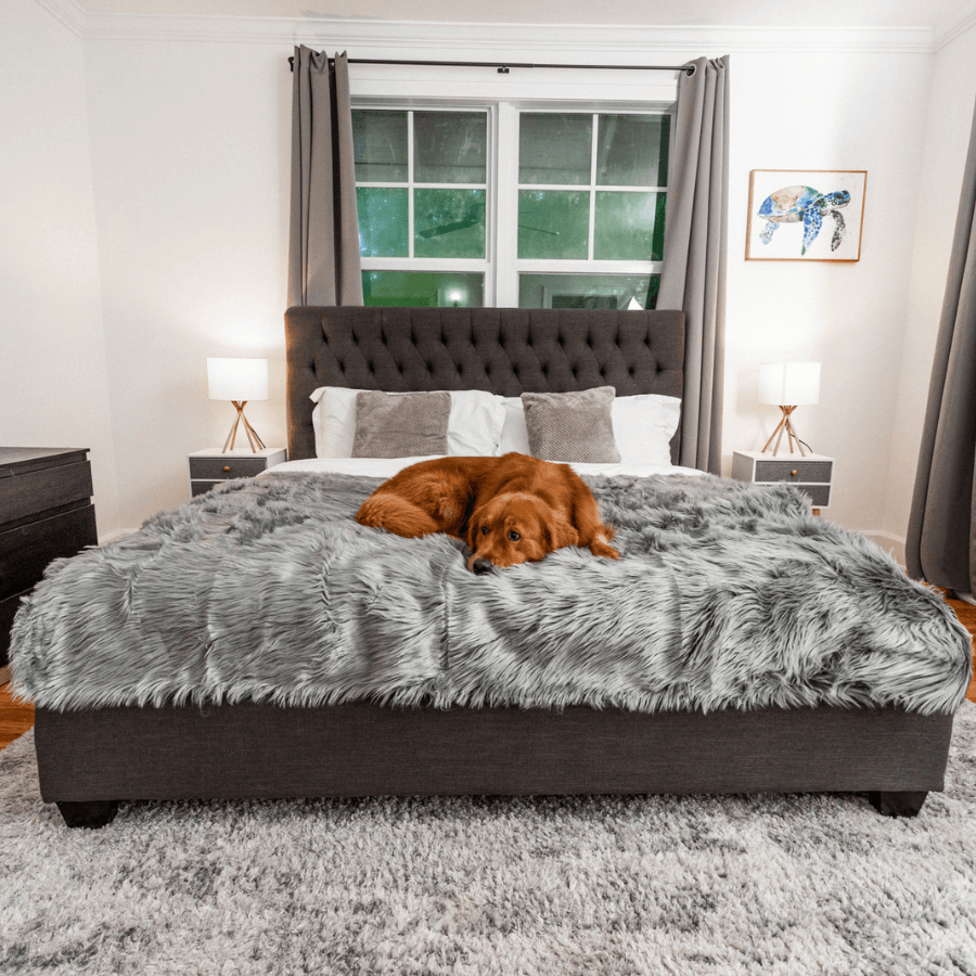 PupProtector™ Waterproof Throw Blanket - Charcoal Grey Large (80"L x 62"W) Dog Blanket Paw.com