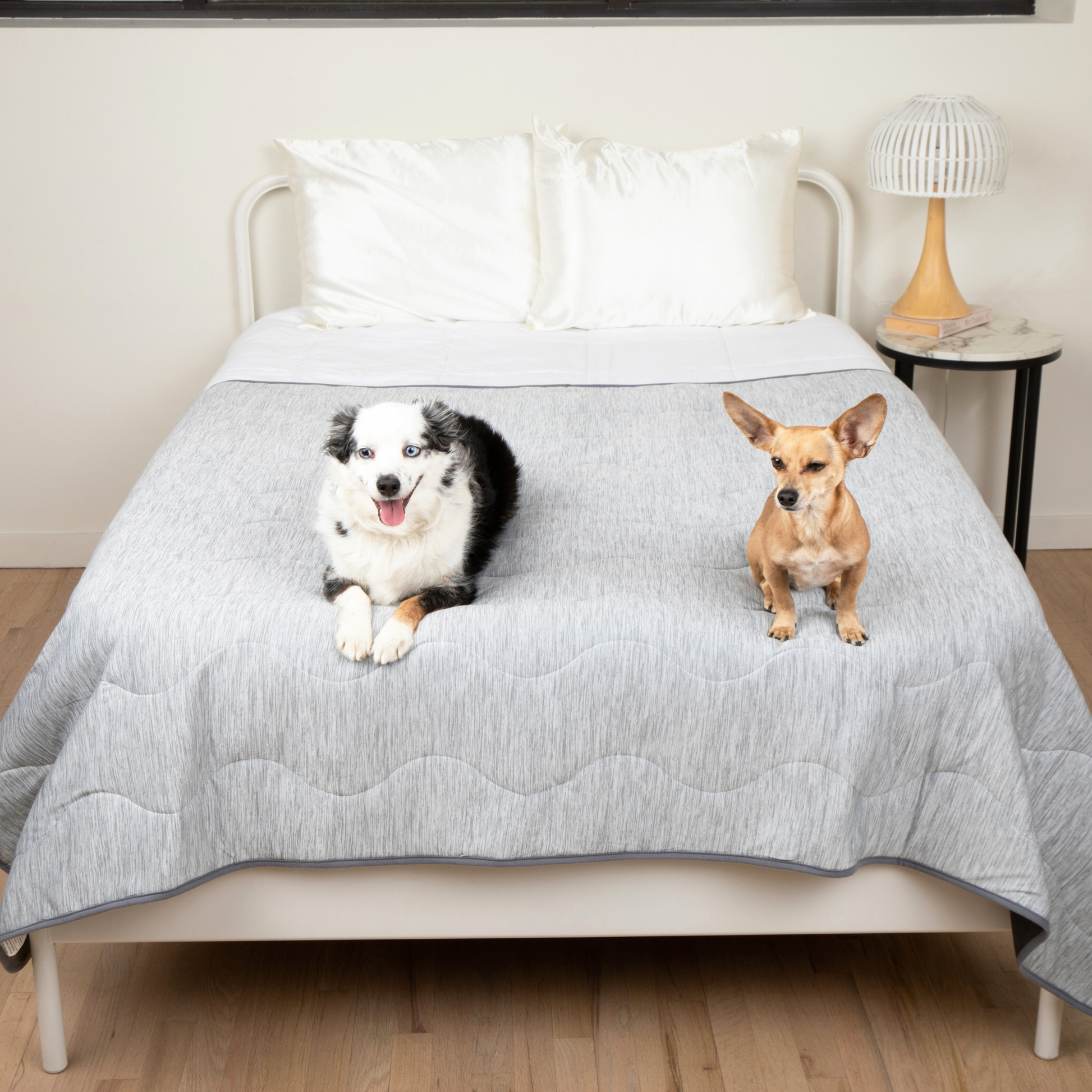 PupChill™ Cooling Waterproof Blanket - Arctic Grey Large (60" L x 82" W) Paw.com