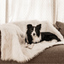 PupProtector™ Waterproof Throw Blanket - Polar White Dog Blanket Paw.com