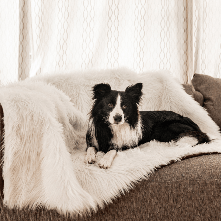 PupProtector™ Waterproof Throw Blanket - Polar White Dog Blanket Paw.com