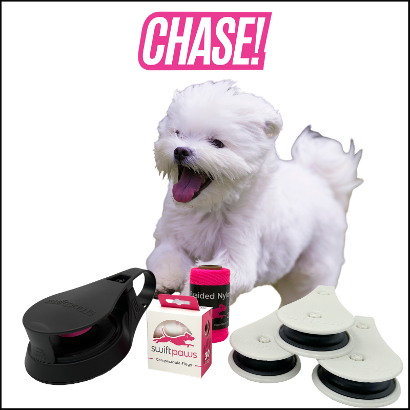 CHASE! Kit Enrichment Product SwiftPaws