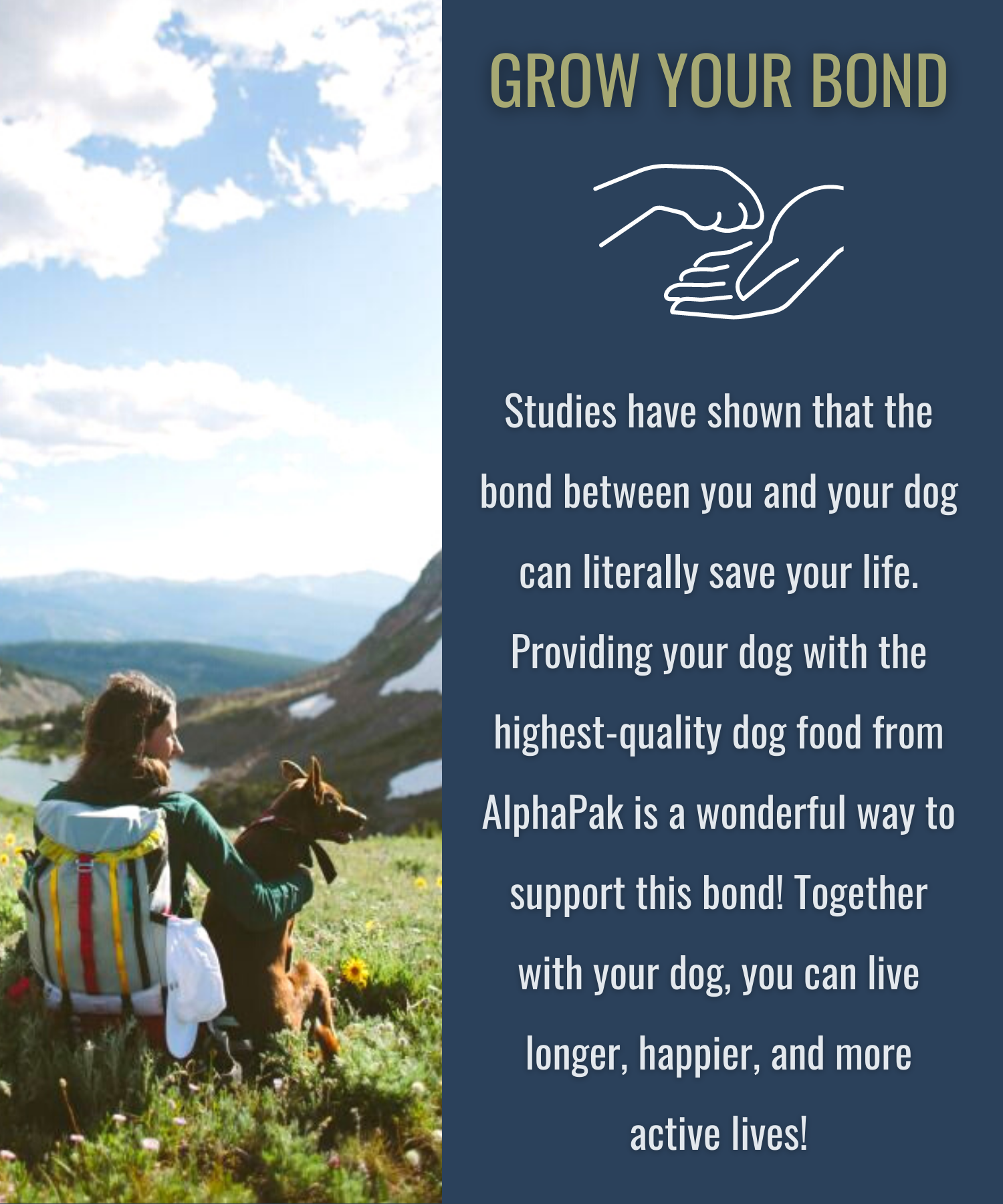 PREMIUM RAW FREEZE DRIED DOG FOOD BEEF freeze dried dog food Alpha Pak