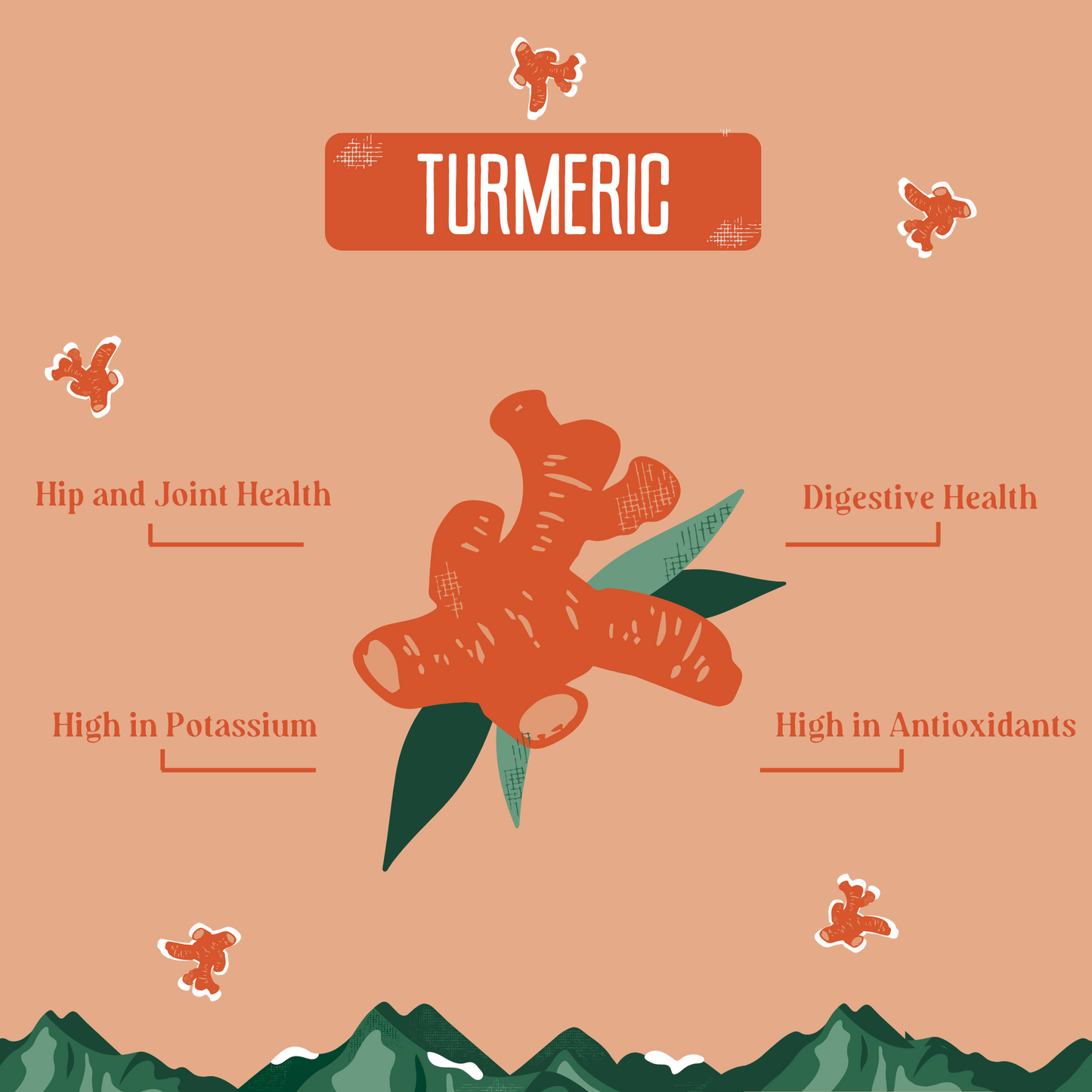 Turmeric Cheese Chews for Dogs TURMERIC YAK CHEWS Yak9 Chews