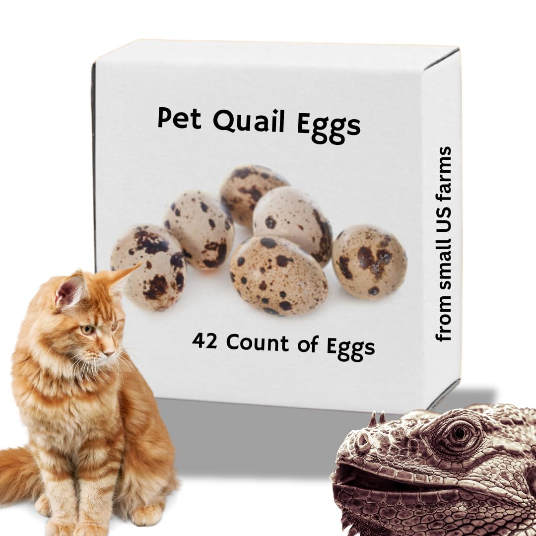 Whole Quail Eggs for Pets, Raw Feeding 48 Egg Buddys Hatchery