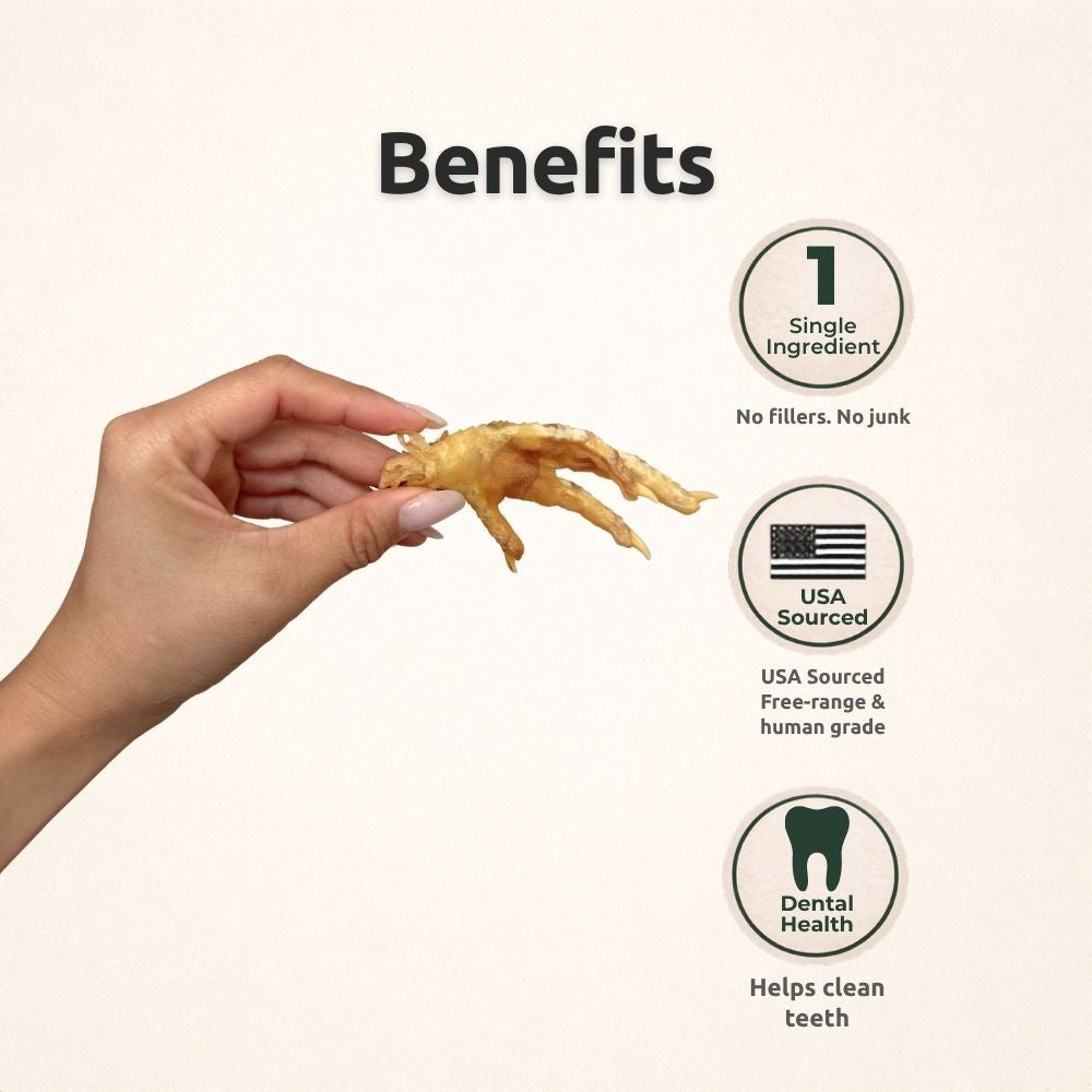 Freezbone Whole Chicken Feet Dental Treats for Dogs - Human Grade - Single Ingredient Dog Treats Freezbone