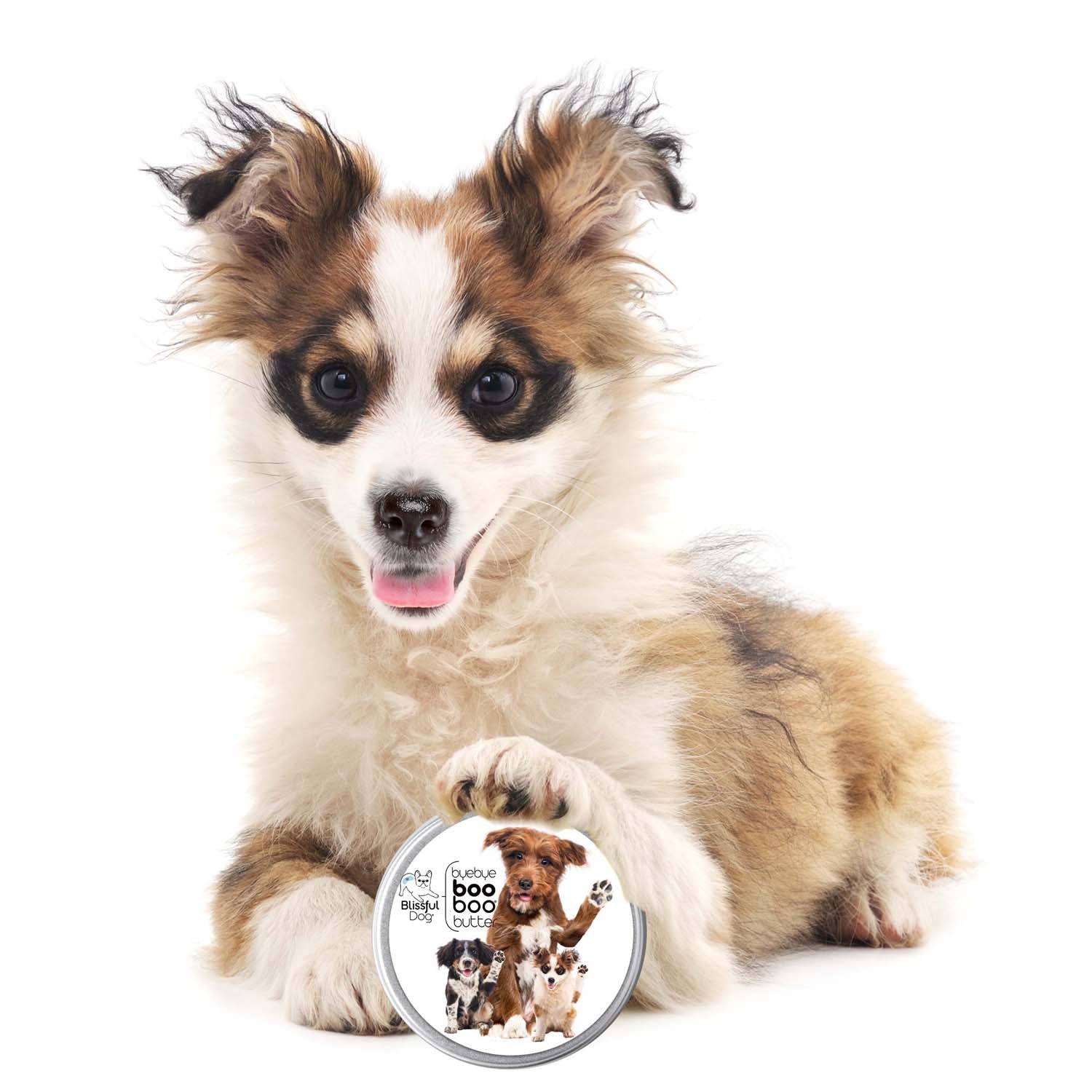 3 Cute Puppies Boo Boo Butter BOO BOO BUTTER The Blissful Dog