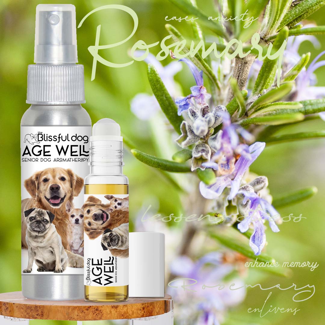 3 Old Friends Age Well Dog Aromatherapy DOG AROMATHERAPY The Blissful Dog