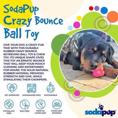 Crazy Bounce Rubber Dog Chew Toy for Power Chewers | Retrieving Ball | USA Made Rubber Dog Toys SodaPup/True Dogs, LLC