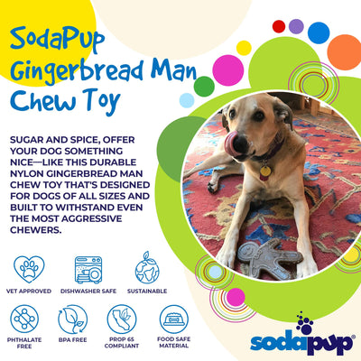 Gingerbread Man Nylon Dog Chew Toy for Aggressive Chewers | USA Made Nylon Dog Toys SodaPup/True Dogs, LLC