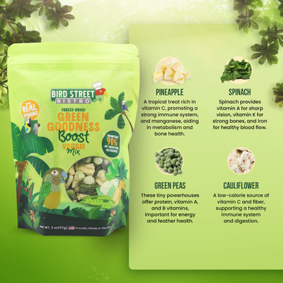 Green Goodness Boost - Parrot Veggies Mix Parrot Food Bird Street Bistro