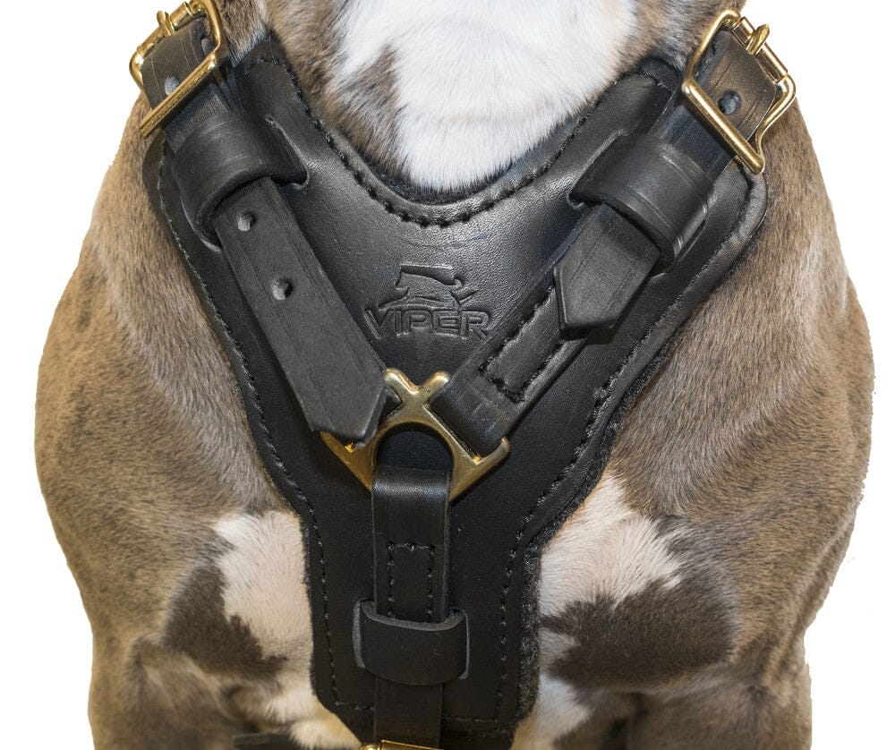 Viper Typhoon Leather Working Dog Harness Harnesses Dogline