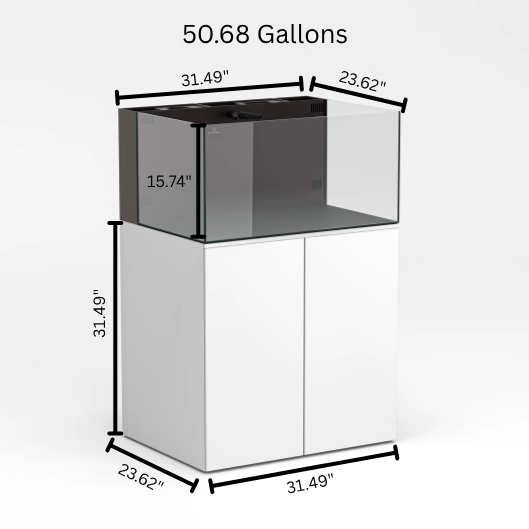 Reef Ready 50-Gallon AIO System Saltwater Tank Aquarium Sea Cardinal