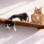 Wall Mounted Cat Shelf English Chestnut Bamboo 34" Escape Hatch Cat shelves/bed Catastrophic Creations