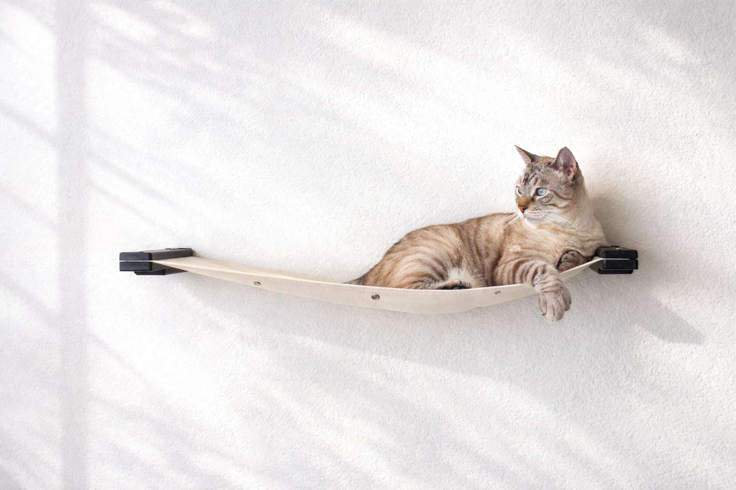 Hanging Cat Bed Hammock Onyx Bamboo Natural Canvas 34" Cat Hammock Catastrophic Creations