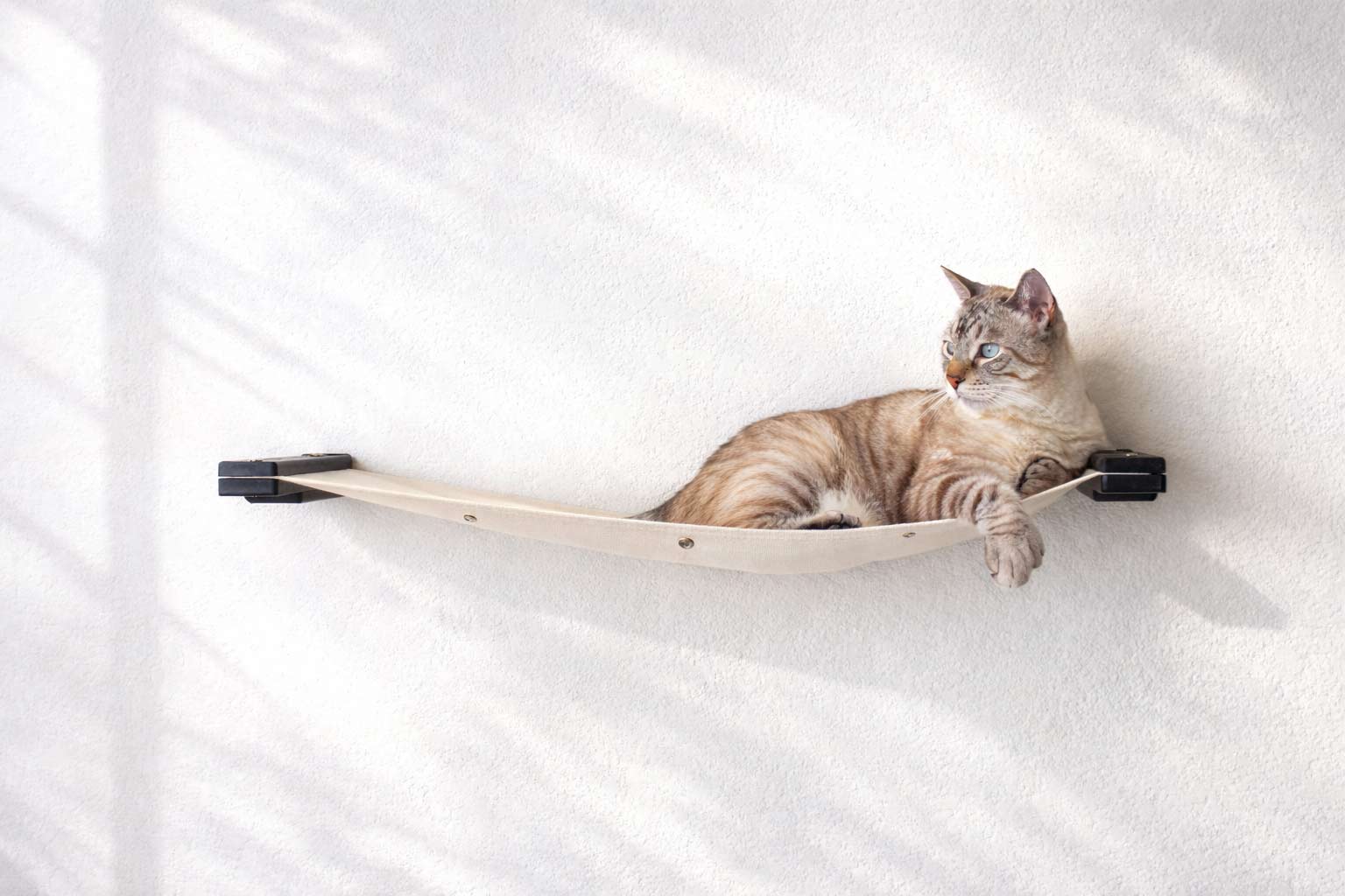 Hanging Cat Bed Hammock Onyx Bamboo Natural Canvas 34" Cat Hammock Catastrophic Creations