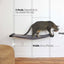 Dog Proof Cat Feeder - Wall-Mounted - Raised Elevated Onyx Bamboo Charcoal Gray Canvas 32" Cat Hammock Catastrophic Creations
