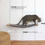 Dog Proof Cat Feeder - Wall-Mounted - Raised Elevated Natural Bamboo Charcoal Gray Canvas 32" Cat Hammock Catastrophic Creations
