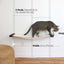 Dog Proof Cat Feeder - Wall-Mounted - Raised Elevated Onyx Bamboo Natural Canvas 32" Cat Hammock Catastrophic Creations