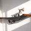 Hanging Cat Bed Hammock English Chestnut Bamboo Charcoal Gray Canvas 34" Cat Hammock Catastrophic Creations