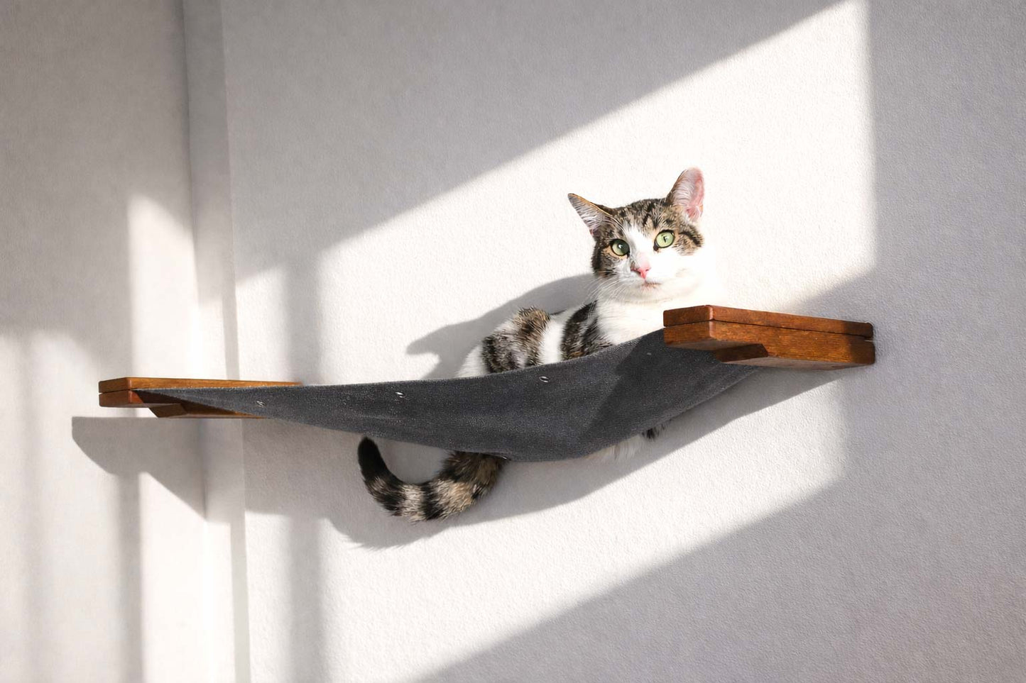 Hanging Cat Bed Hammock English Chestnut Bamboo Charcoal Gray Canvas 34" Cat Hammock Catastrophic Creations