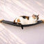Hanging Cat Bed Hammock Natural Bamboo Charcoal Gray Canvas 34" Cat Hammock Catastrophic Creations