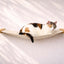 Hanging Cat Bed Hammock Natural Bamboo Natural Canvas 34" Cat Hammock Catastrophic Creations