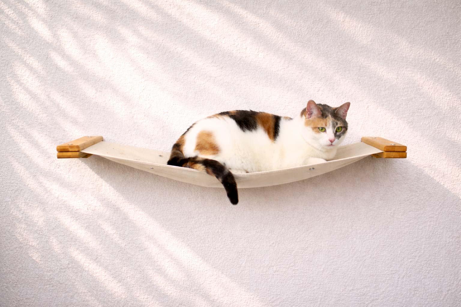 Hanging Cat Bed Hammock Natural Bamboo Natural Canvas 34" Cat Hammock Catastrophic Creations