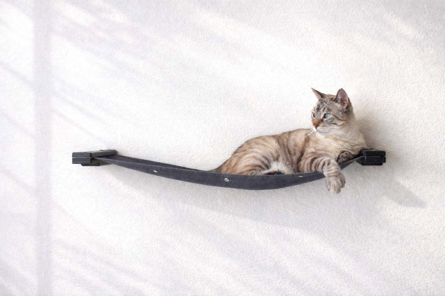 Hanging Cat Bed Hammock Onyx Bamboo Charcoal Gray Canvas 34" Cat Hammock Catastrophic Creations